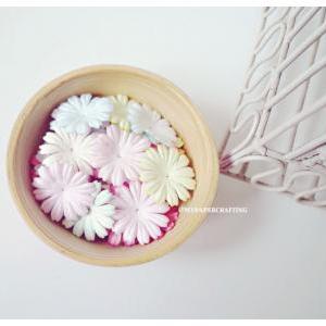 30 Mixed Pastel Medium Daisy Flowers Petal / Pack