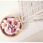 Daisy Pink Mulberry Paper Flower / Pack