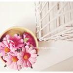 Daisy Pink Mulberry Paper Flower / Pack
